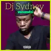 DJ Sydney - Vunandzi - Single